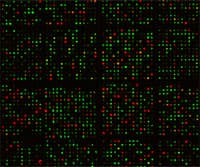 Expression Profiling with Microarrays