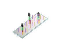 RNA-Seq