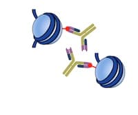 Chromatin Immunoprecipitation