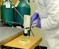 An Overview of Genetic Engineering