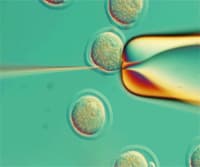 Genome Editing