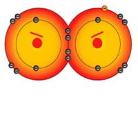 Detecting Reactive Oxygen Species