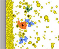 MALDI-TOF Mass Spectrometry