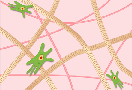 Collagen Hydrogels