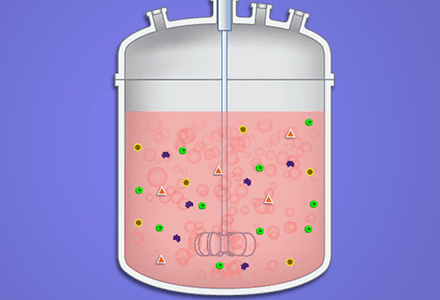 Overview of Bioprocess Engineering