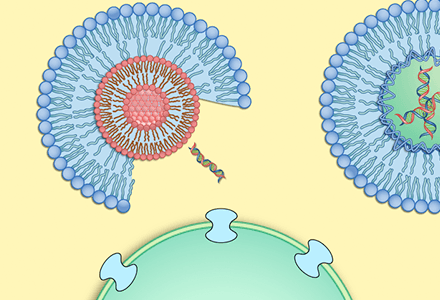 Synthetic Biology