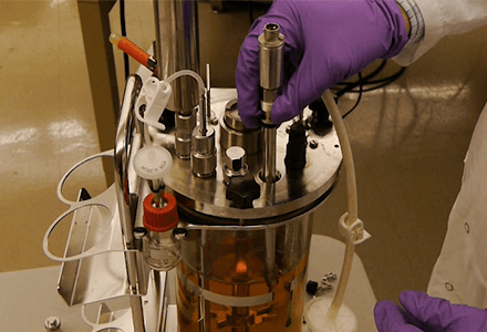 Principles and Applications of Batch and Continuous Bioreactors