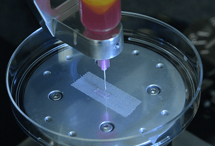 Overview of Biomaterials