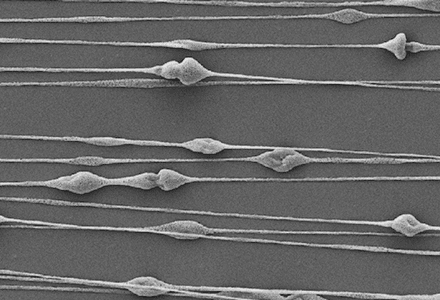 Electrospinning of Silk Biomaterials