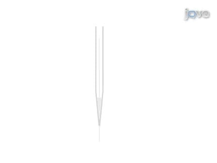 Fabrication of Amperometric Electrodes