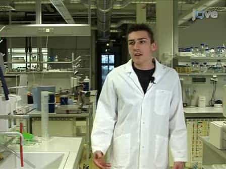 Homemade Site Directed Mutagenesis of Whole Plasmids
