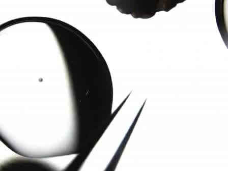Nuclear Transfer into Mouse Oocytes