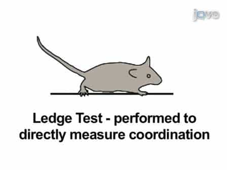 A Simple Composite Phenotype Scoring System for Evaluating Mouse Models of Cerebellar Ataxia