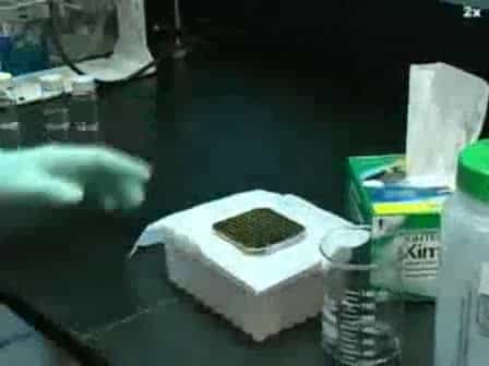 MALDI Sample Preparation: the Ultra Thin Layer Method