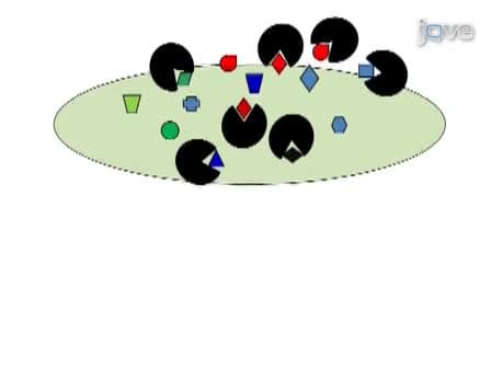 Selection of Aptamers for Amyloid β-Protein, the Causative Agent of Alzheimer's Disease