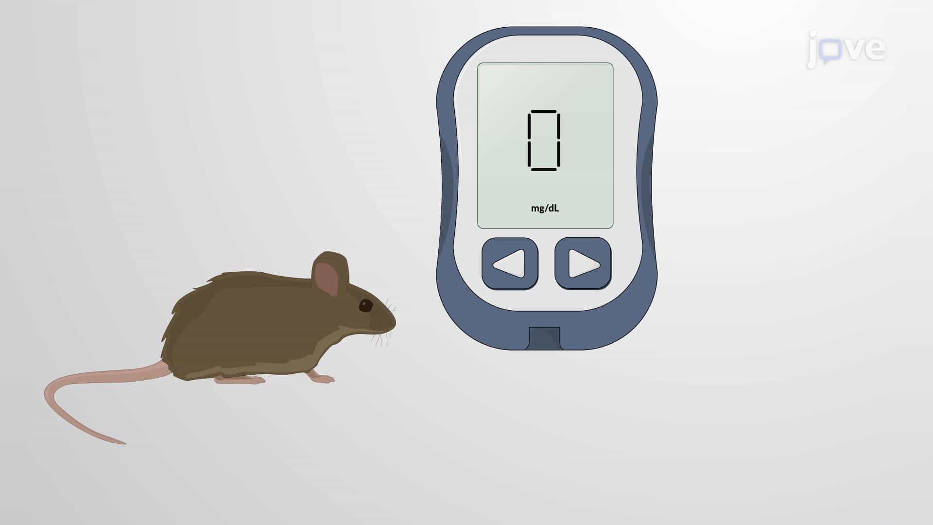 Oral Glucose Tolerance Test (OGTT): Measuring Glucose Metabolism in Mice