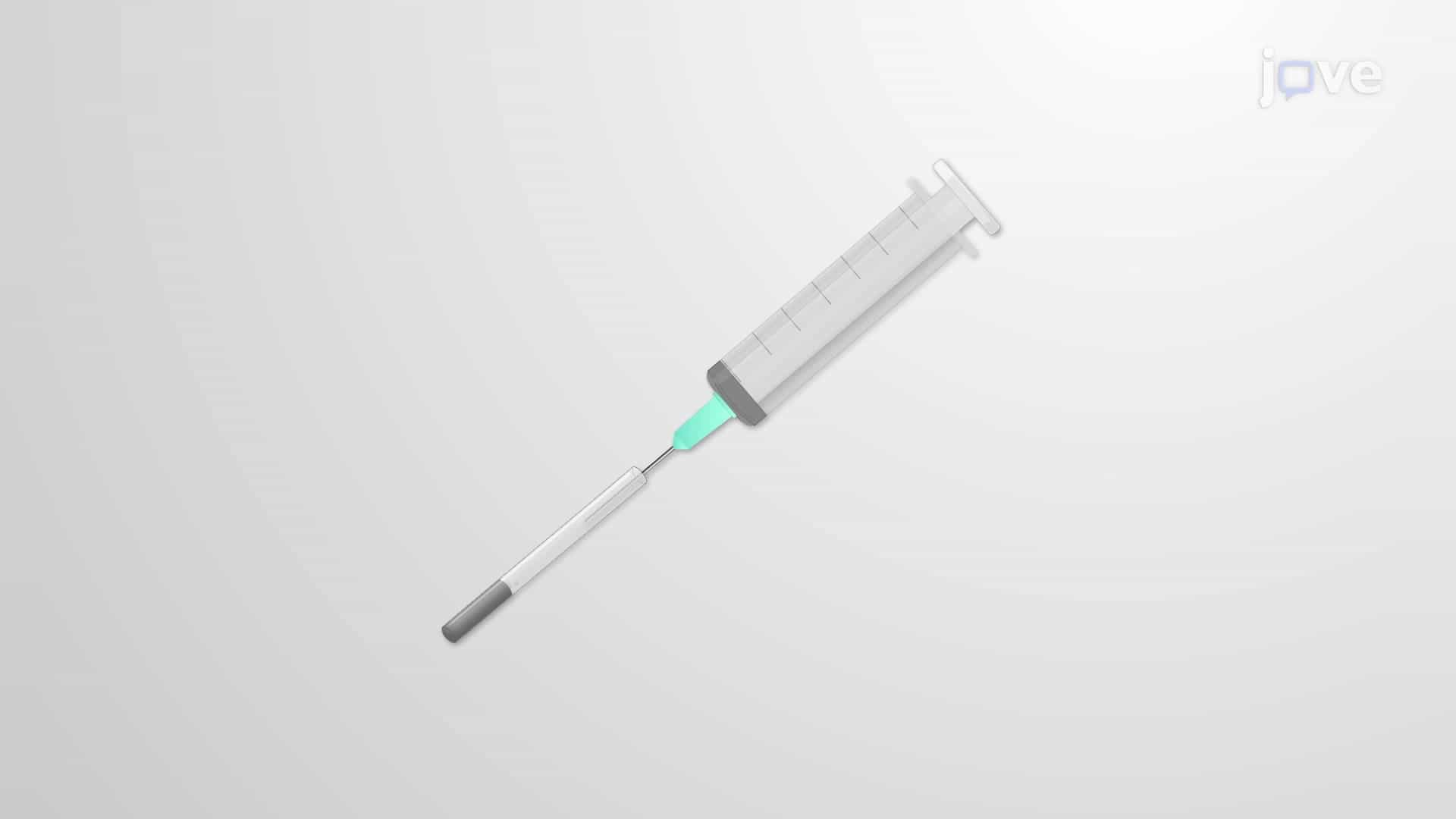Subcutaneous Dihydrotestosterone (DHT) Treatment: Mouse Model of Polycystic Ovary Syndrome (PCOS)