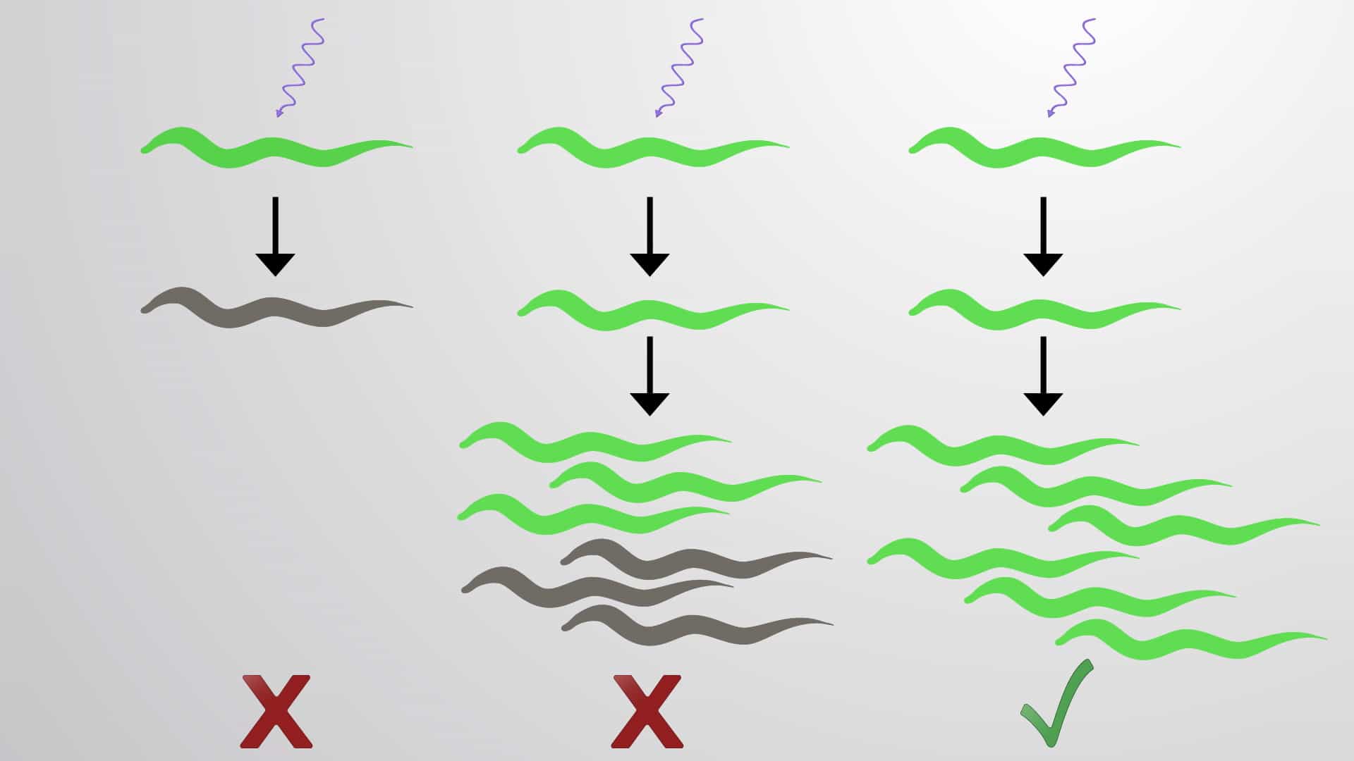 UV Irradiation: A Method to Integrate Extrachromosomal Arrays