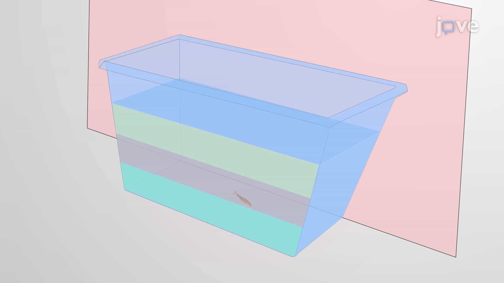 Novel Tank Diving Assay: A Method to Study Innate Stress Responses in Zebrafish