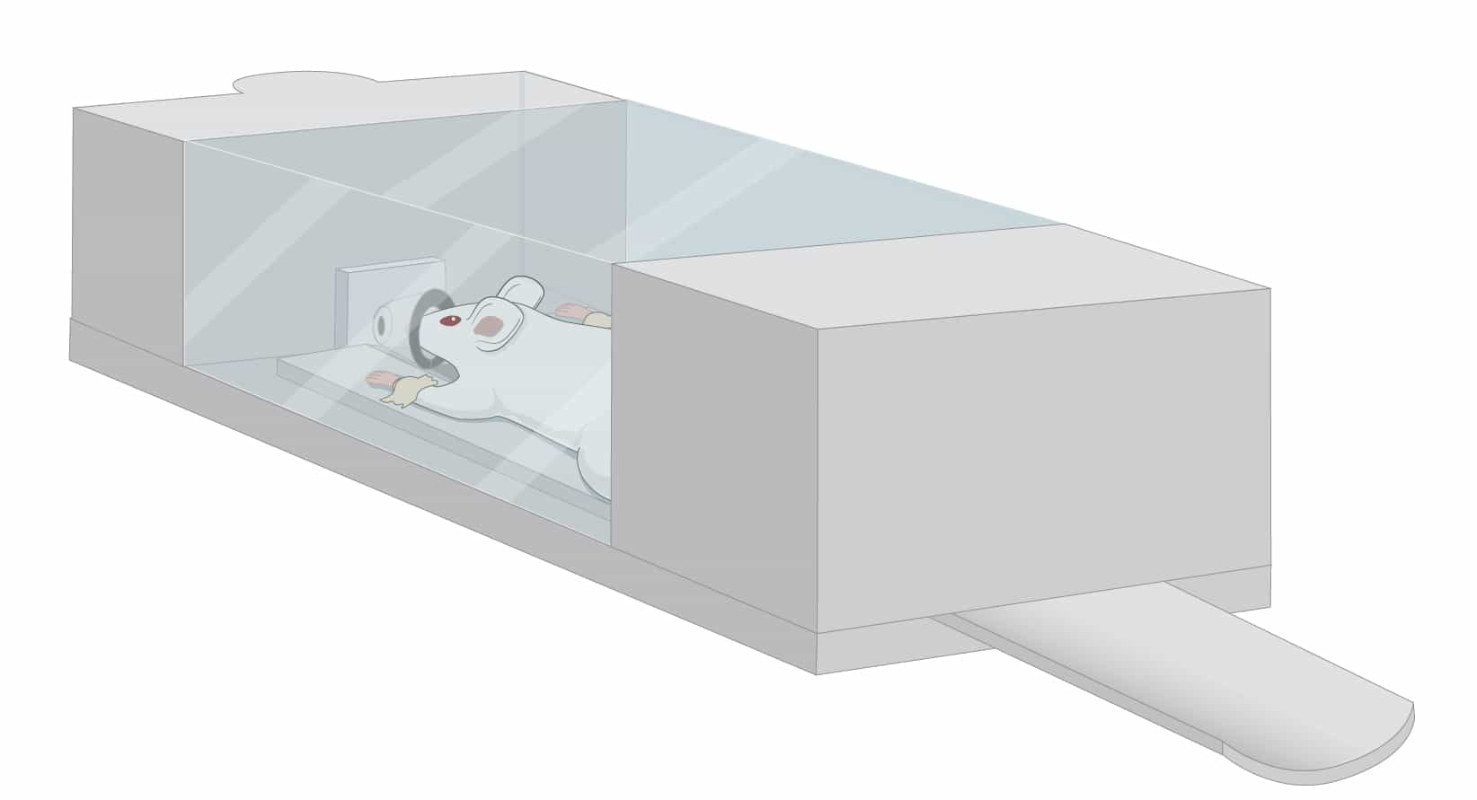 FDG Based PET/CT Scan: A Method of Using Radiotracer for Non-invasive Imaging of Tumor Metabolism