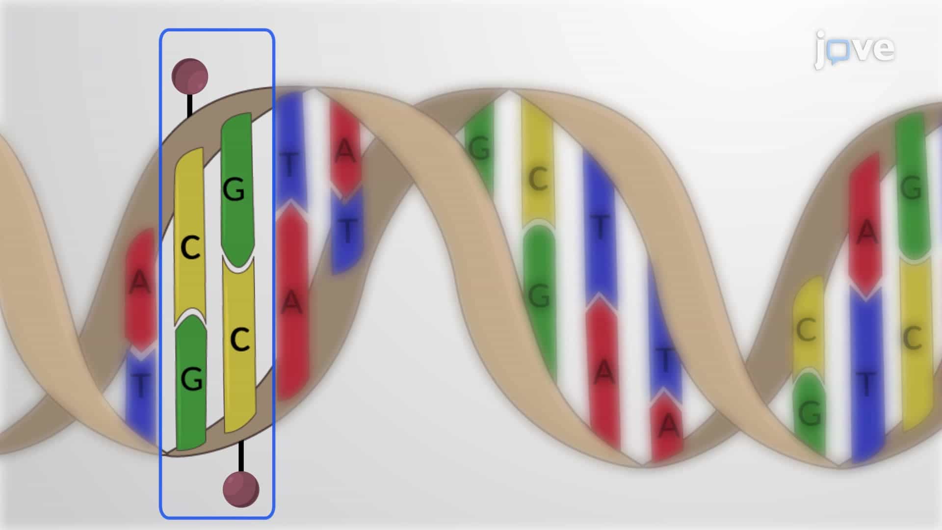 Bisulfite Conversion of Genomic DNA: A Method to Study DNA Methylation in Genomic DNA Samples from Gastrointestinal Cancer Tissue