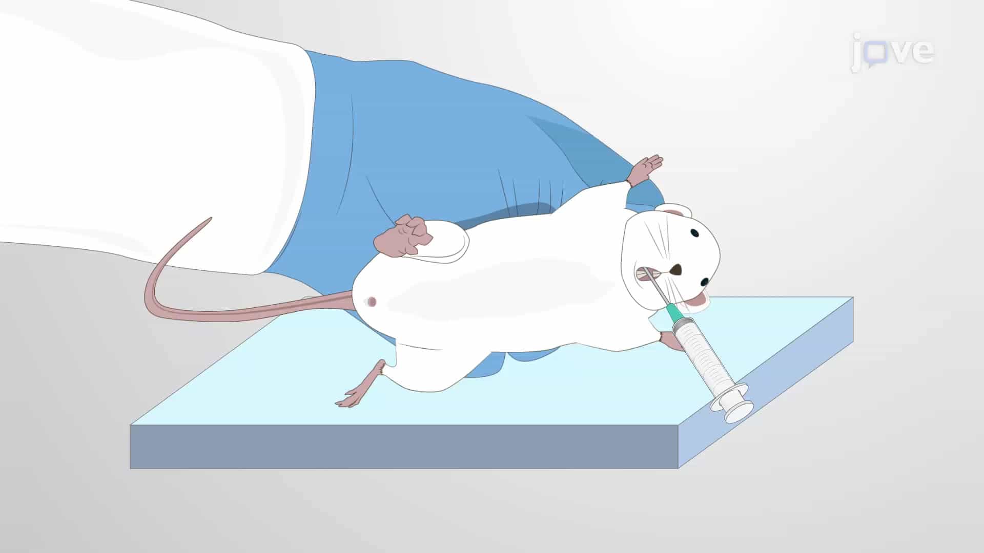 Intramucosal Inoculation of Cancer Cells in Murine Model: A Procedure to Establish an Orthotopic Head and Neck Cancer Mouse Model