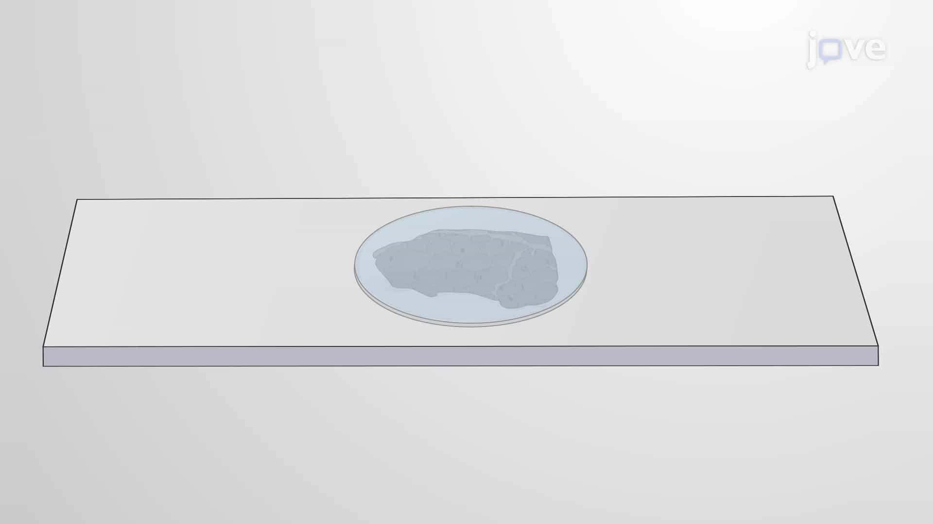 Extracellular DNA Staining: A Method to Identify Extracellular DNA in FFPE Tissue Sections