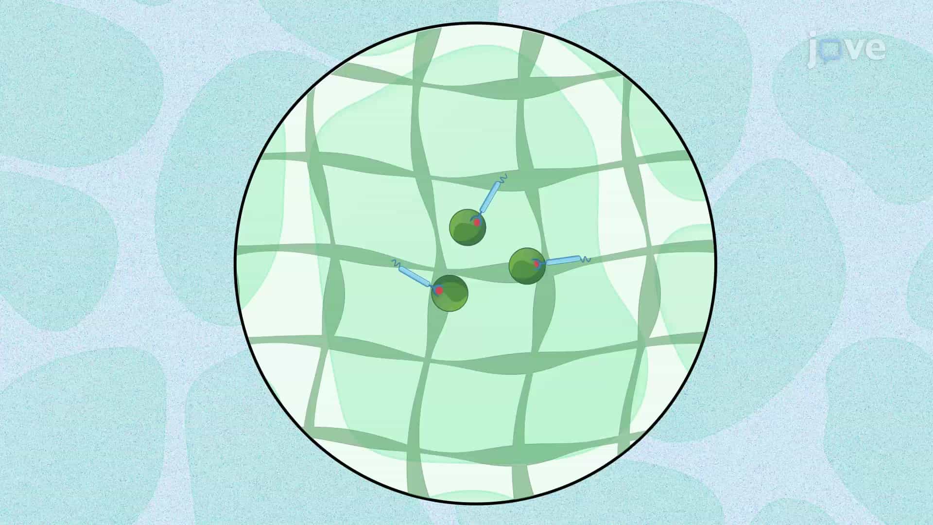 Expansion Pathology: A Method for High-resolution Optical Imaging of Clinical Tissue Samples
