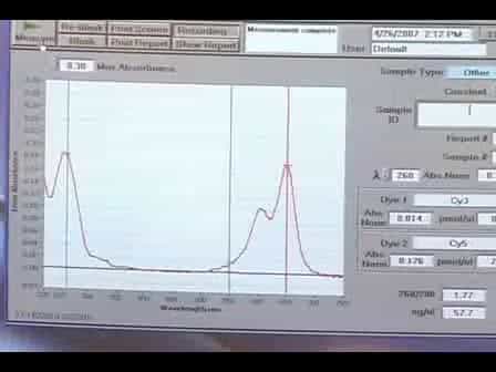 Bacterial Gene Expression Analysis Using Microarrays