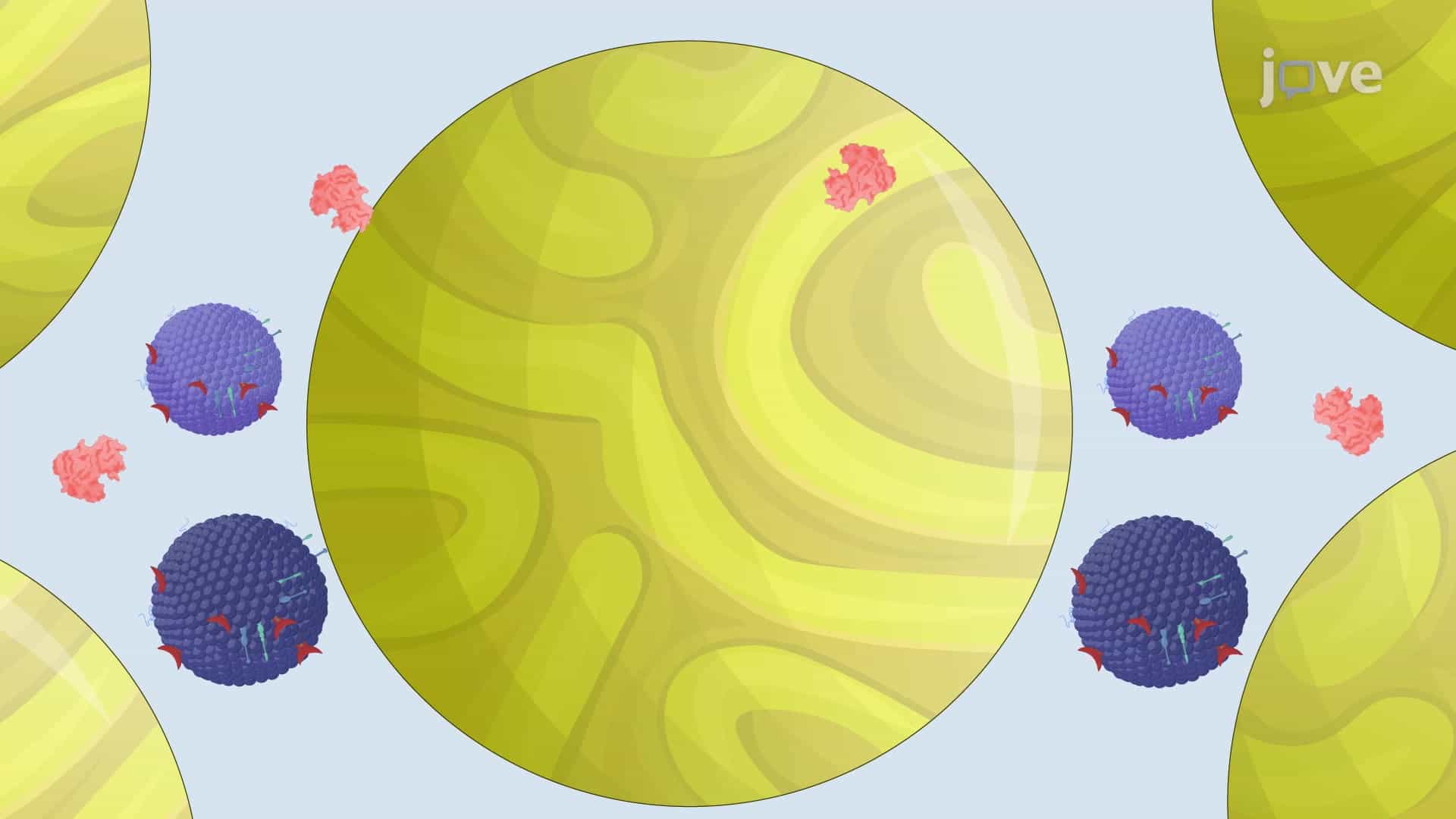 SEC-based Isolation of Microglia-derived Extracellular Vesicles: A Technique to Isolate Extracellular Vesicles from Microglia Conditioned Culture Media