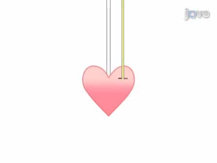 Assessment of Cardiac Function and Energetics in Isolated Mouse Hearts Using 31P NMR Spectroscopy