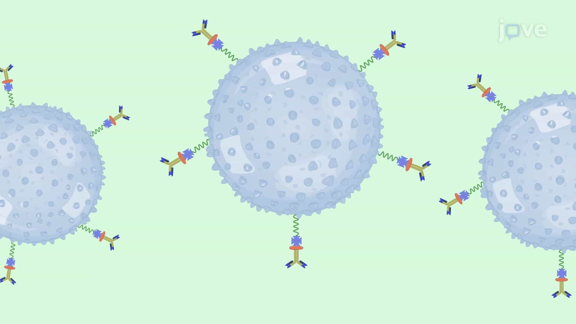 Injection of Microbubbles into Isolated Mouse Embryos: A Technique to Deliver Microbubble Contrast Agents into the Vasculature of Living Murine Embryos