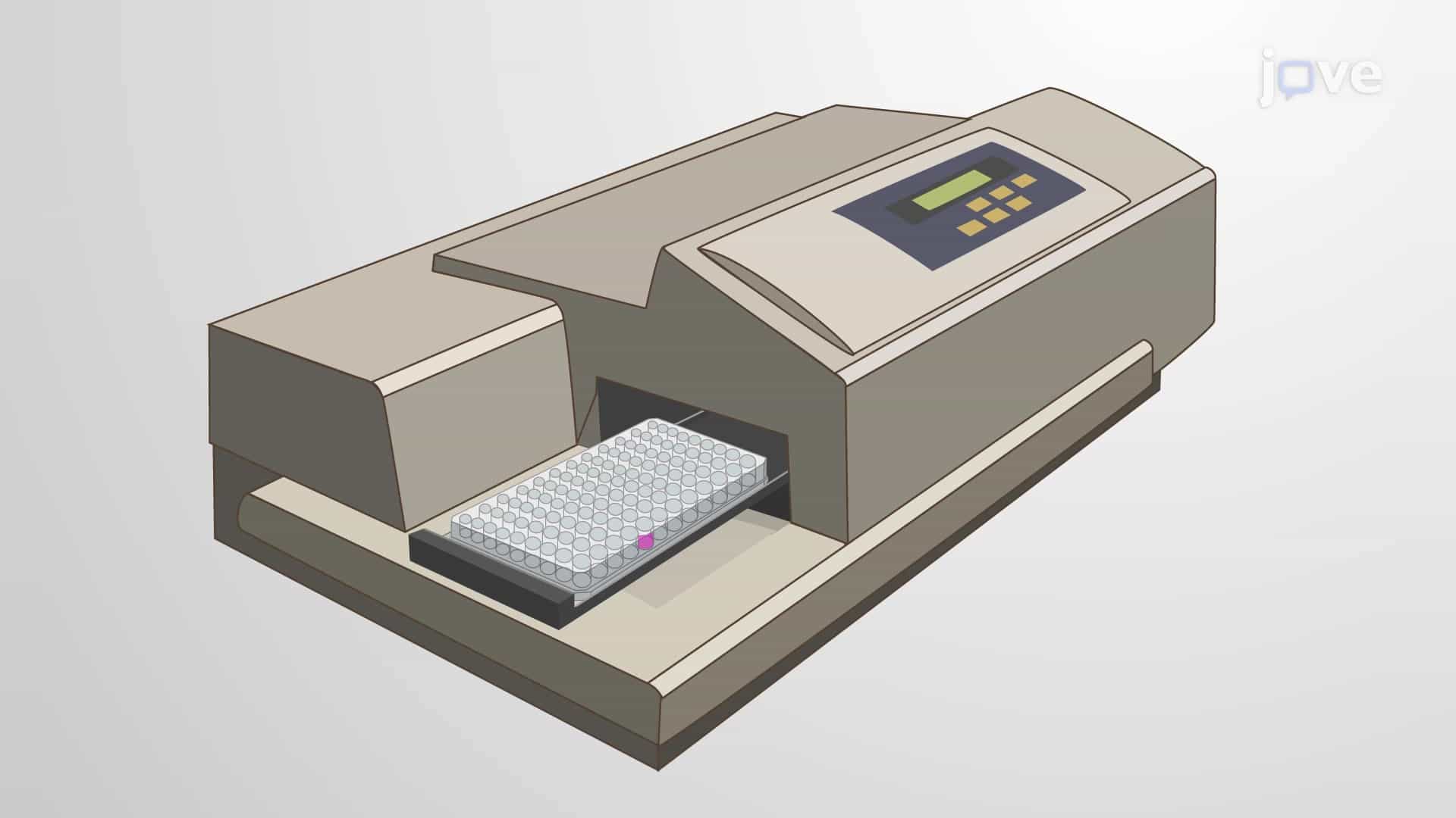 Bathophenanthroline Sulfonate-Based Colorimetric Assay: A Simple and Rapid Method for Quantitation of Non-Heme Iron in Mouse Liver Tissue