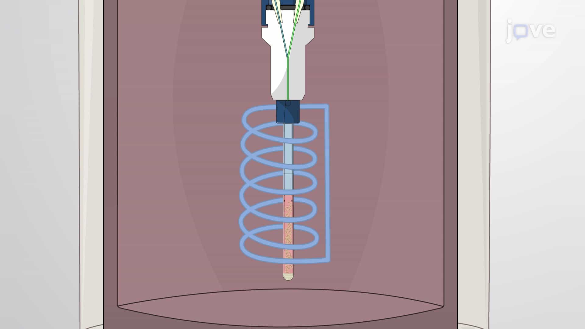Quantitative In-Cell Hydrogen NMR Spectroscopy to Monitor Protein-Ligand Interactions