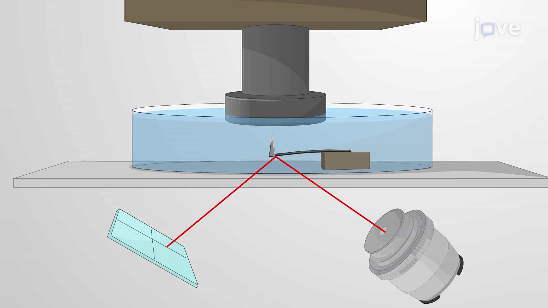 High-Speed Time-Lapse Atomic Force Microscopy to Capture Nucleosome Dynamics