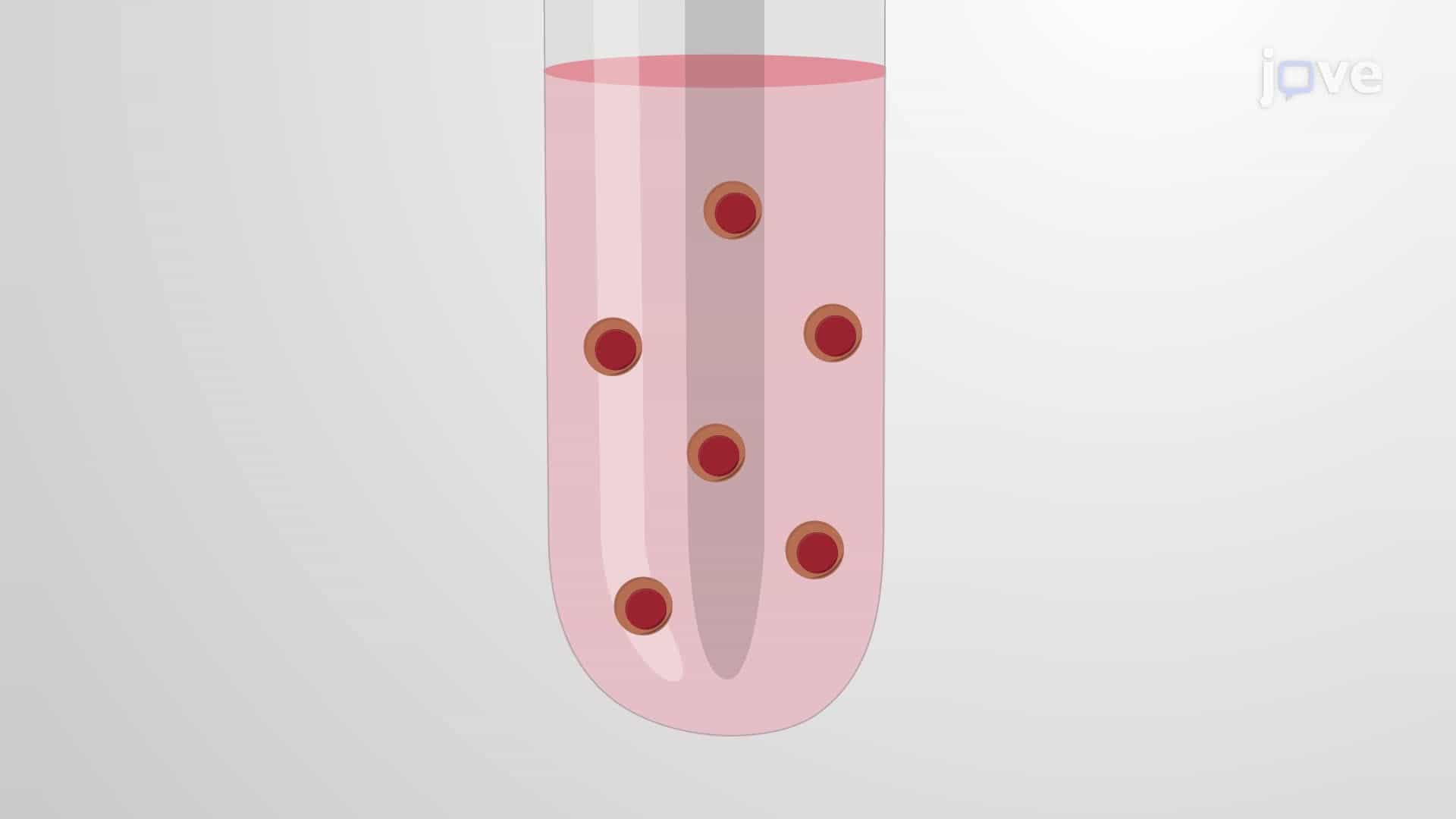 Evaluation of Stromal Cytokine-Induced Intracellular Protein Phosphorylation Using Phospho-Flow Cytometry