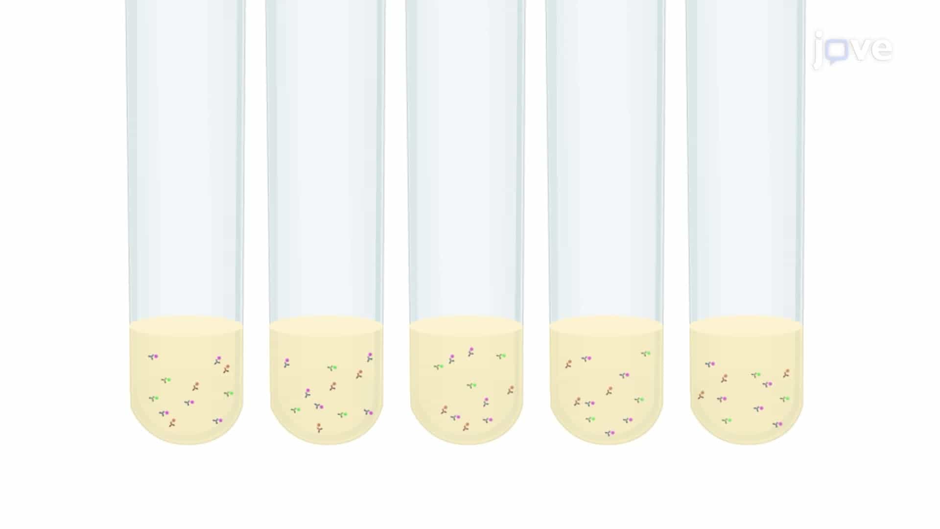 Analyzing Basophil Activation in the Presence of a Test Allergen using Flow Cytometry