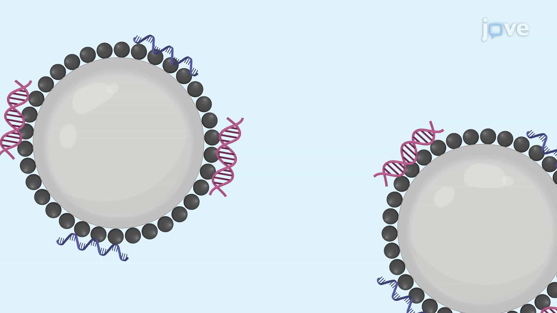 A Technique for Magnetic Glass Particle-Mediated Nucleic Acid Extraction from Blood