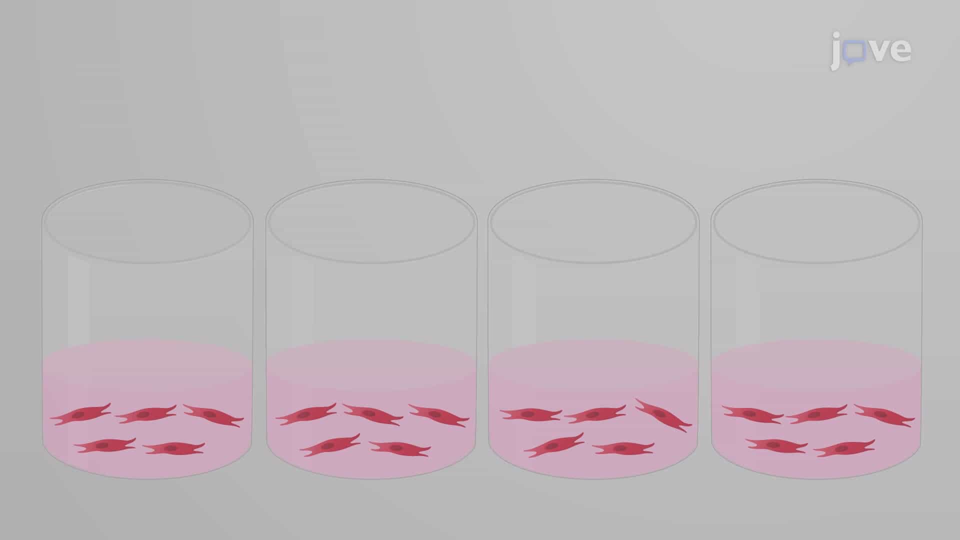 An In Vitro Method to Determine the Anti-Apoptotic Activity of Antibodies against TNFα