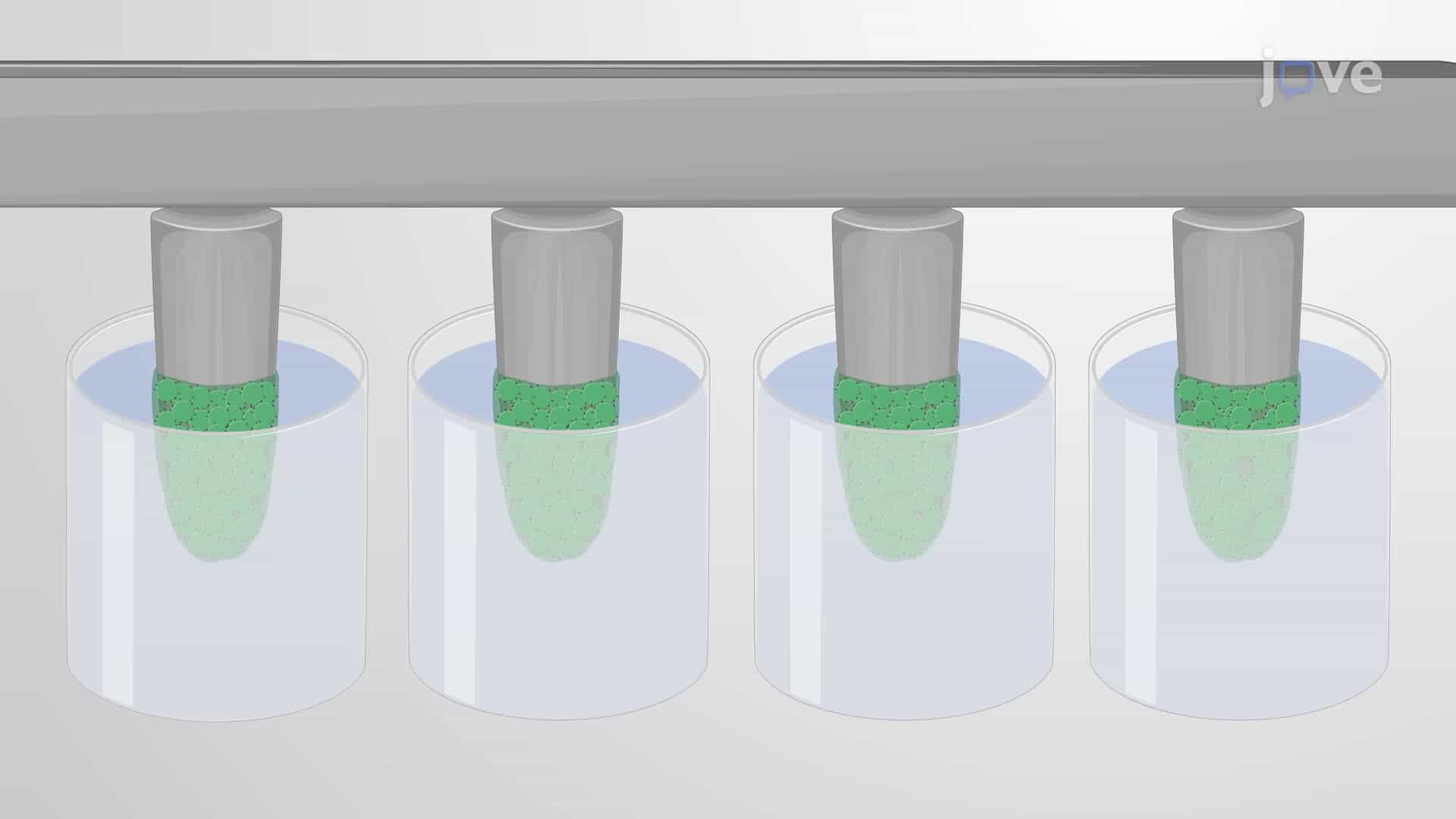 A Peg Plate Biofilm Assay for Screening Antibacterial Agents