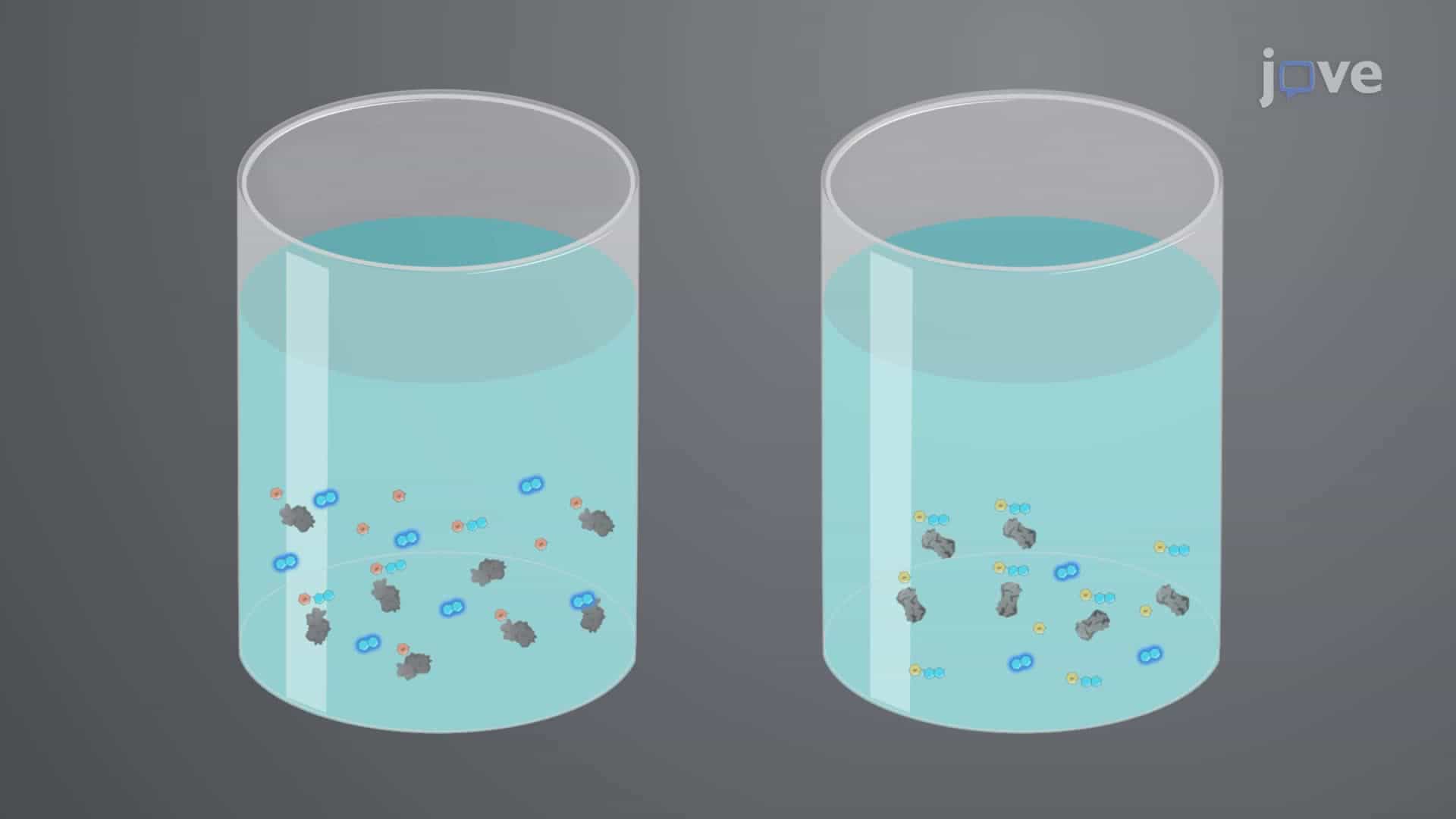 In Vitro Measurement of α-Galactosidase A and Acid α-Glucosidase Enzyme Activity