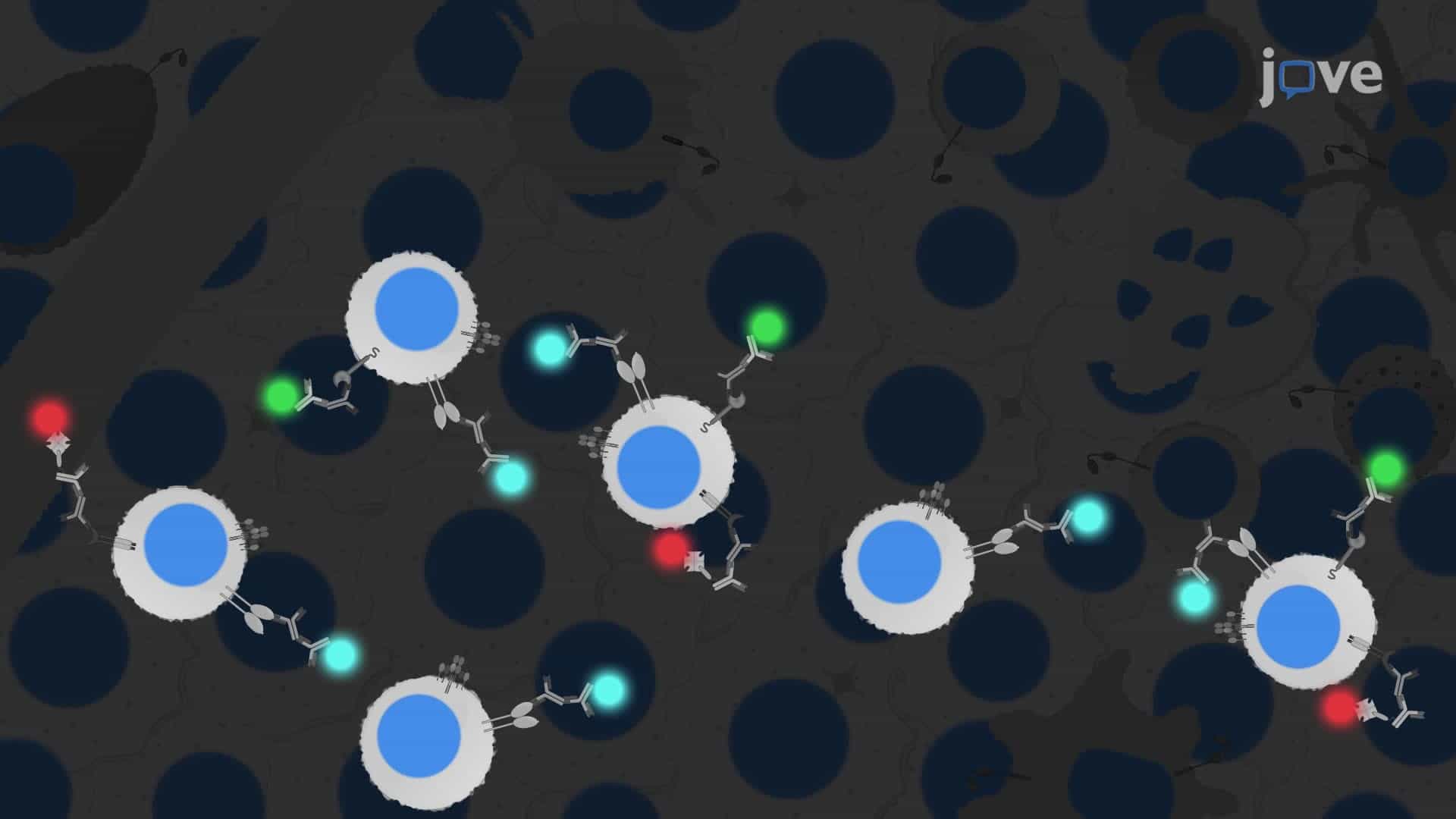 Multiplexed Immunofluorescence Imaging to Analyze Immunotherapy-Resistant T Cell Subpopulations