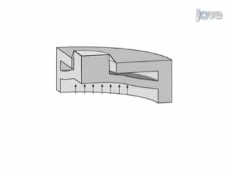 Microfabricated Platforms for Mechanically Dynamic Cell Culture