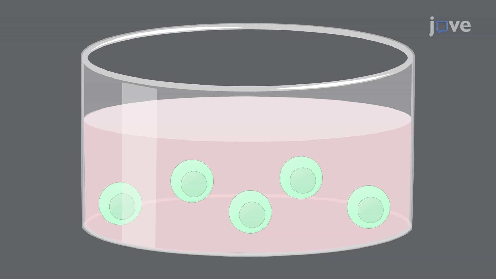 A CRISPR-Cas9 Technique for Gene Editing in T Cells
