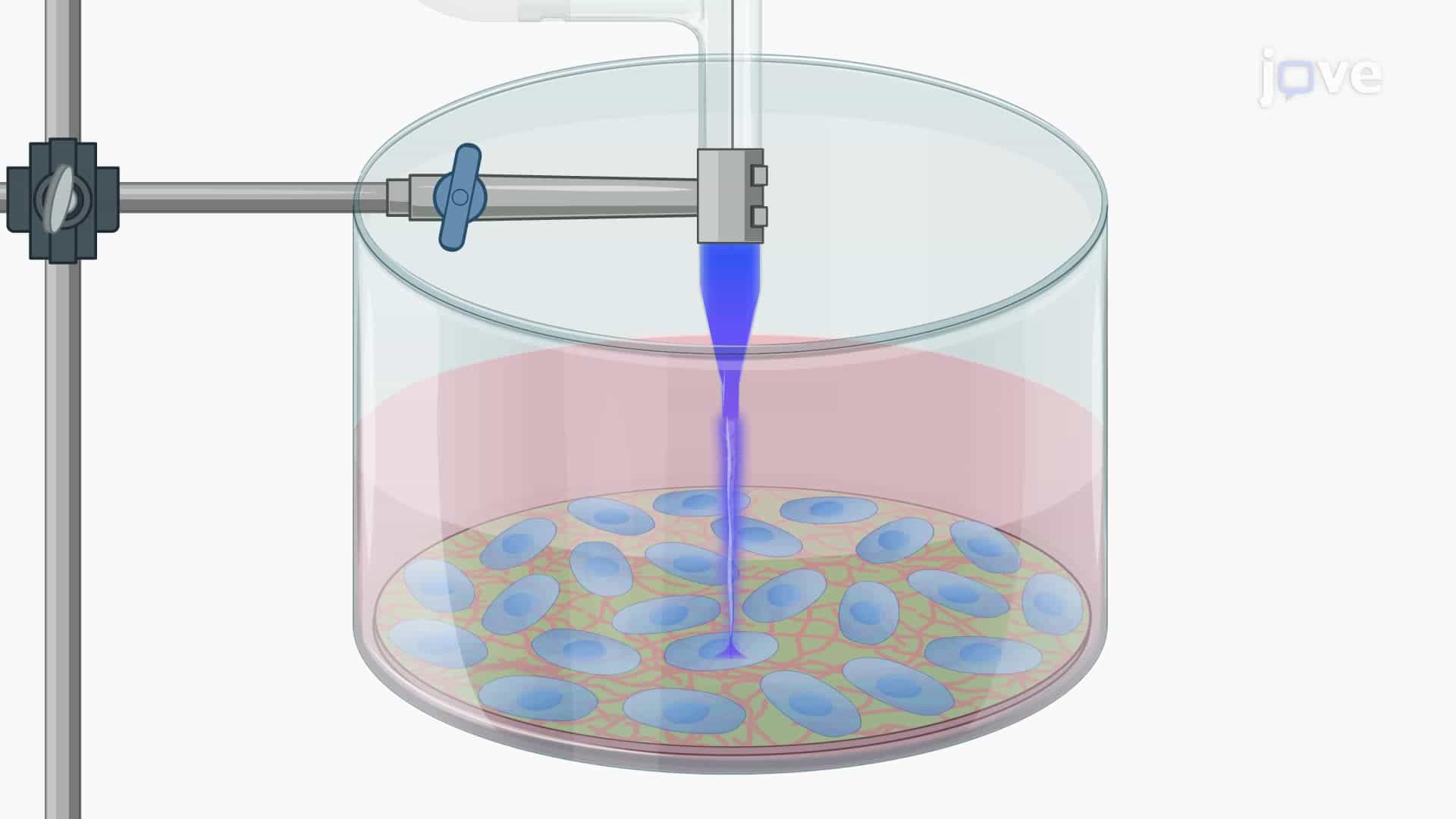 Stimulating Nerve Stem Cell Differentiation Using Cold Atmospheric Plasma Treatment