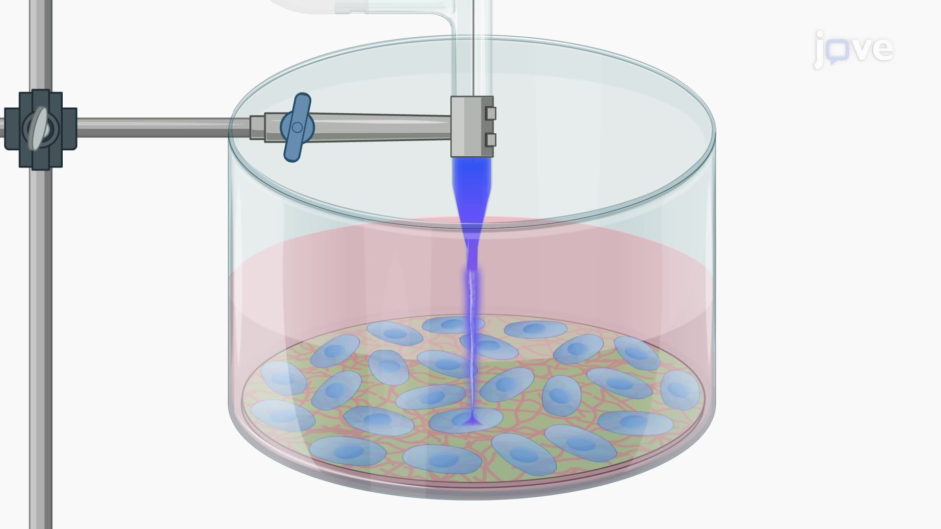 Stimulating Nerve Stem Cell Differentiation Using Cold Atmospheric Plasma Treatment