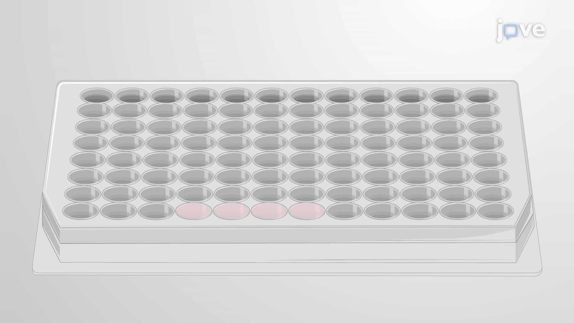 Measuring Odorant Receptor Activation using a Real-Time Cyclic Adenosine Monophosphate Assay