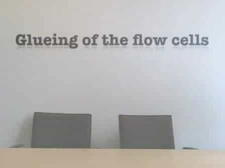 Pseudomonas aeruginosa and Saccharomyces cerevisiae Biofilm in Flow Cells