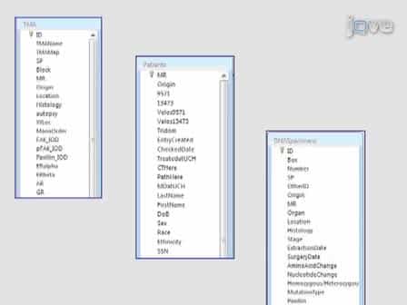 Generation of Comprehensive Thoracic Oncology Database - Tool for Translational Research