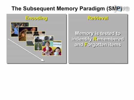 Brain Imaging Investigation of the Memory-Enhancing Effect of Emotion